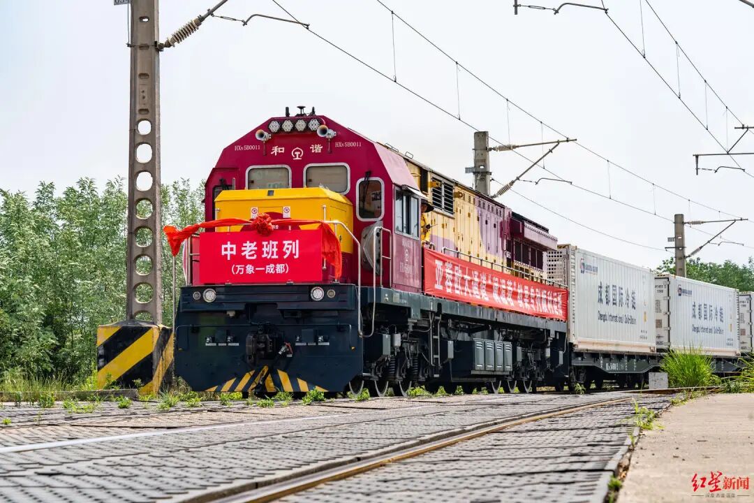 快冲！顶“榴”们坐冷气专列来了🤩插图2