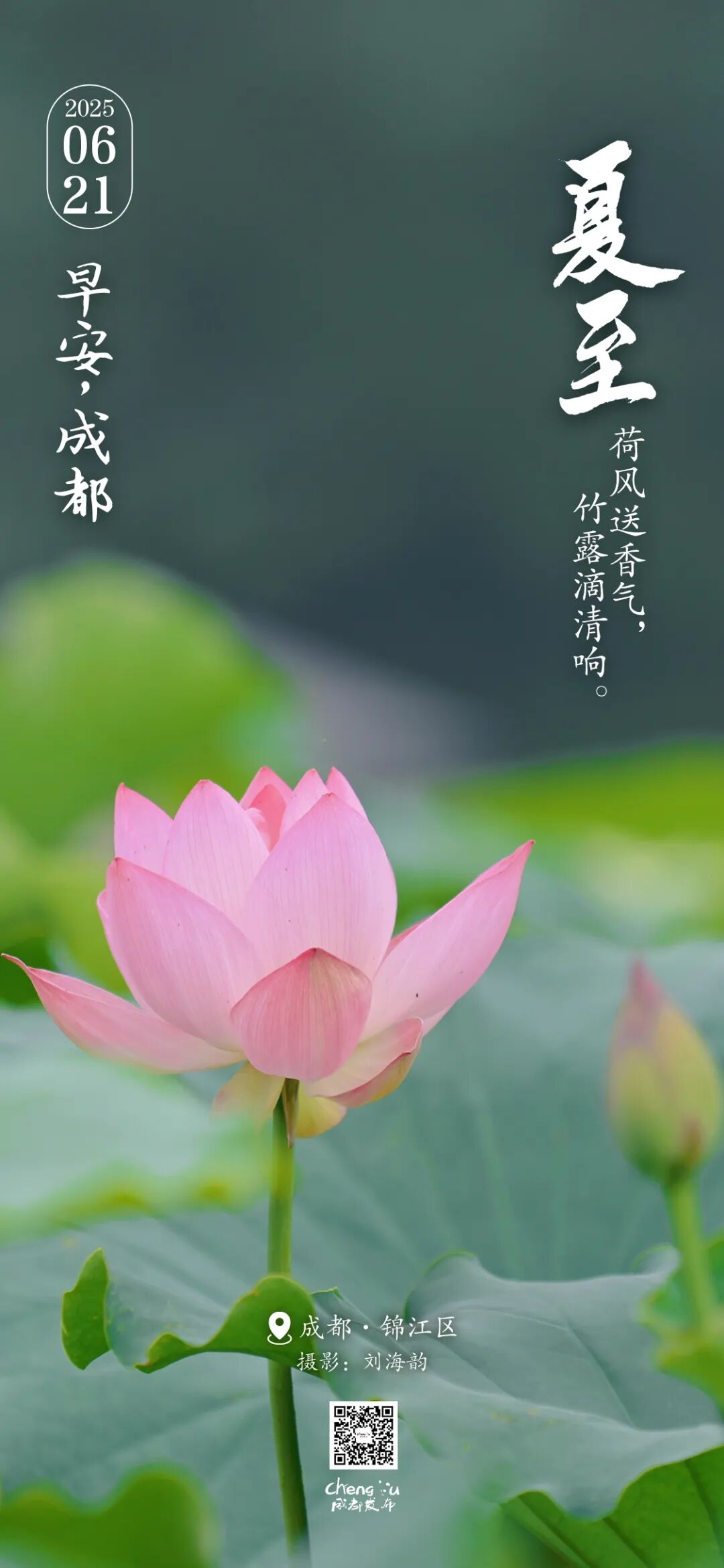 今天10时42分！成都正式进入……插图