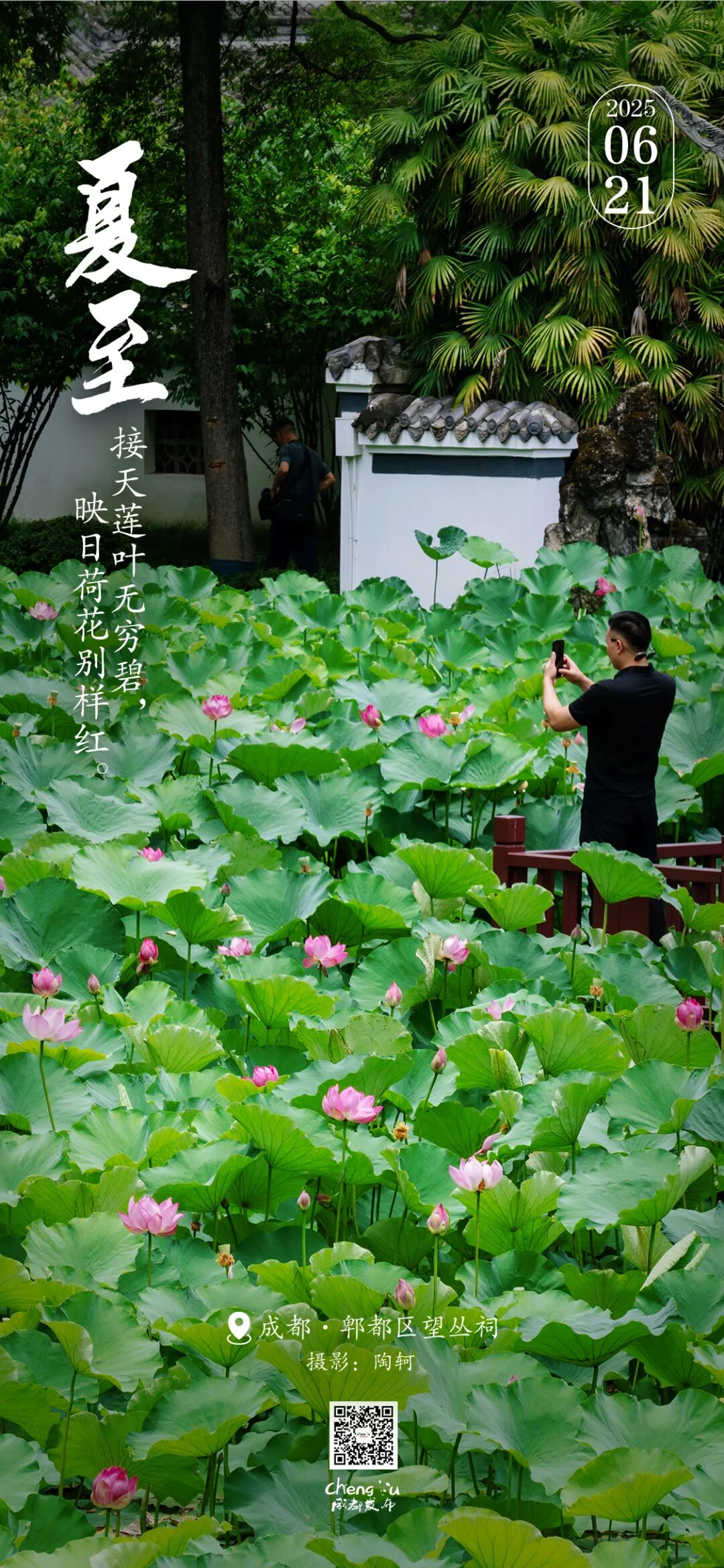 今天10时42分！成都正式进入……插图7