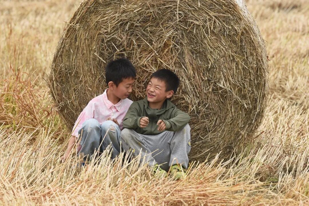 生命力爆棚！成都，出片率100%🥰插图74