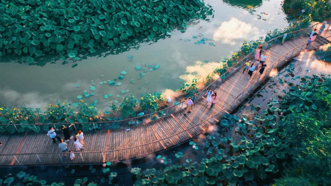 生命力爆棚！成都，出片率100%🥰插图20