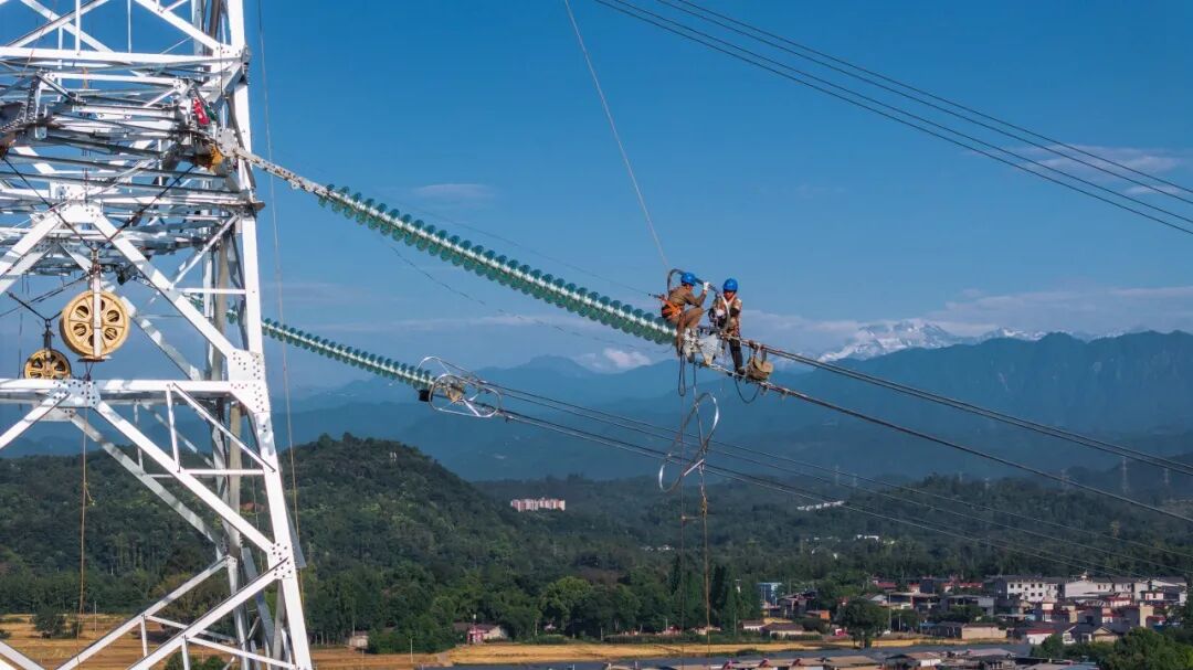 生命力爆棚！成都，出片率100%🥰插图102