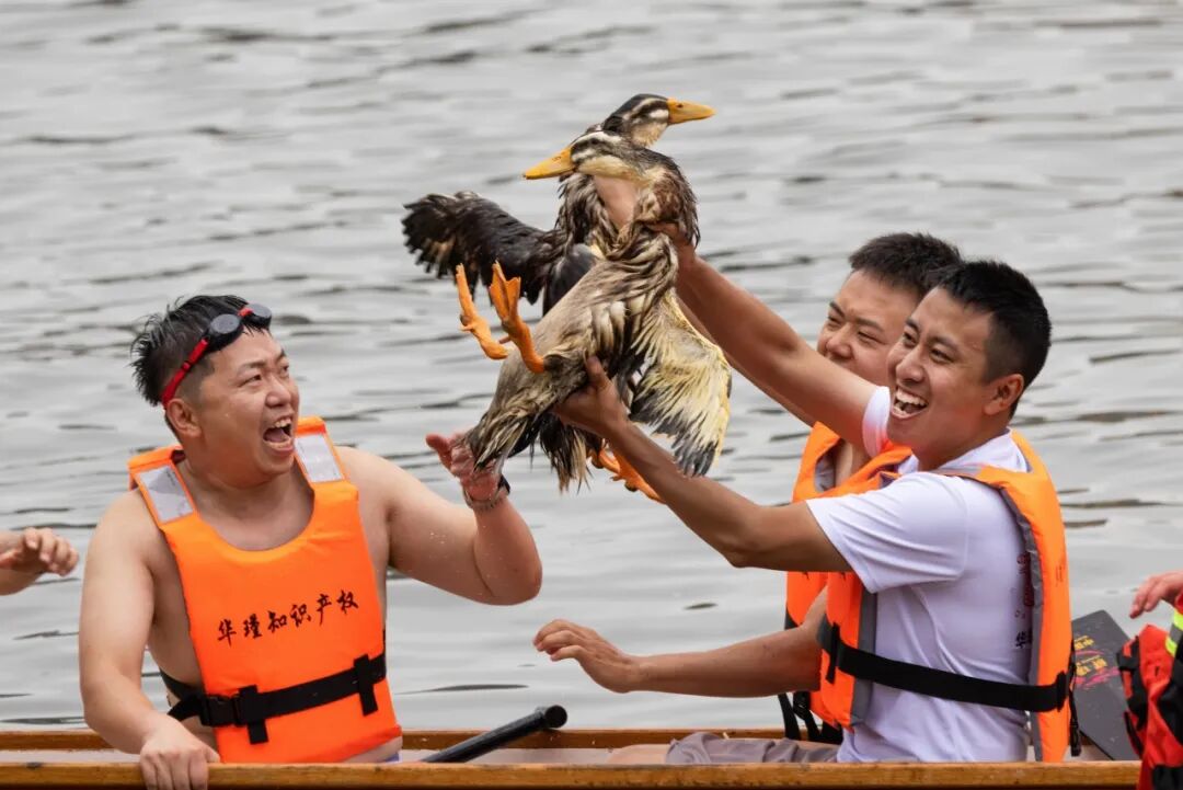 生命力爆棚！成都，出片率100%🥰插图96