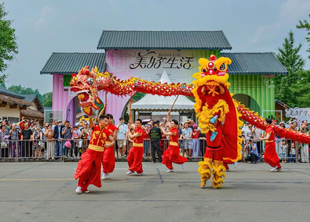 生命力爆棚！成都，出片率100%🥰插图92