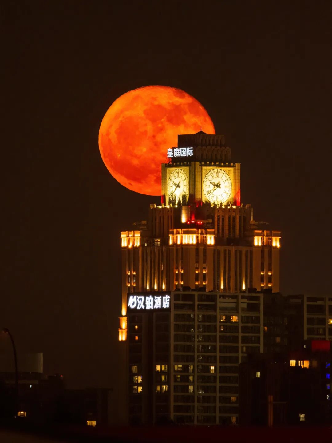 生命力爆棚！成都，出片率100%🥰插图58