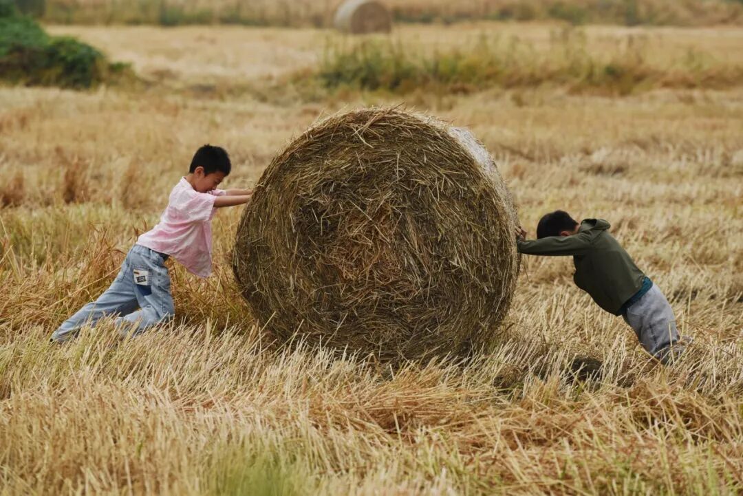 生命力爆棚！成都，出片率100%🥰插图73