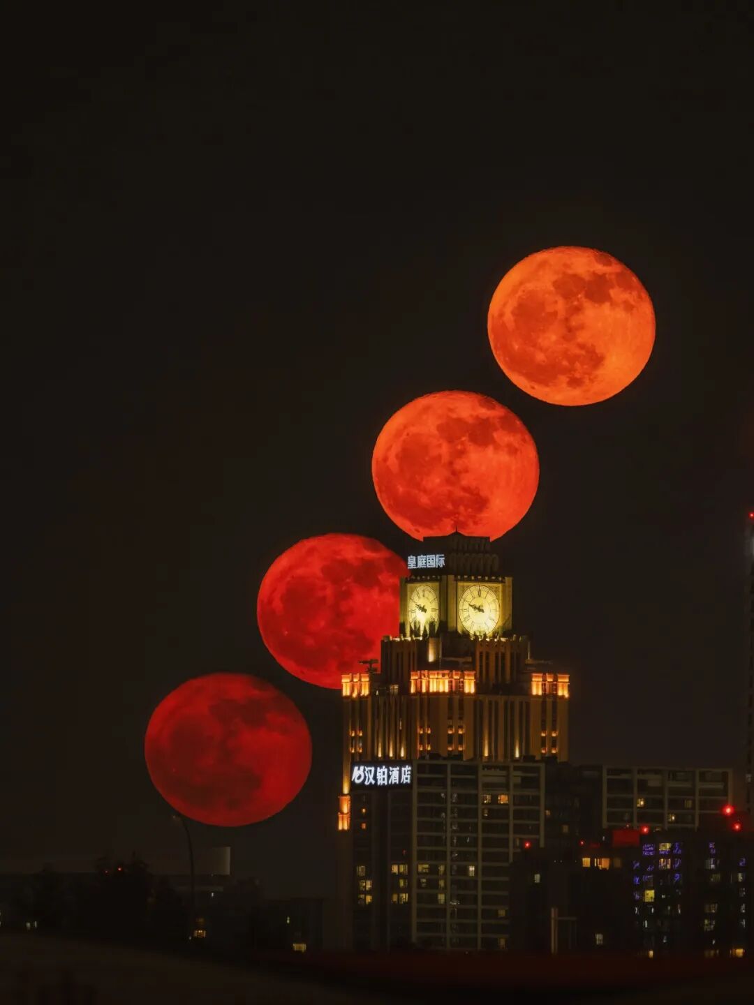 生命力爆棚！成都，出片率100%🥰插图57