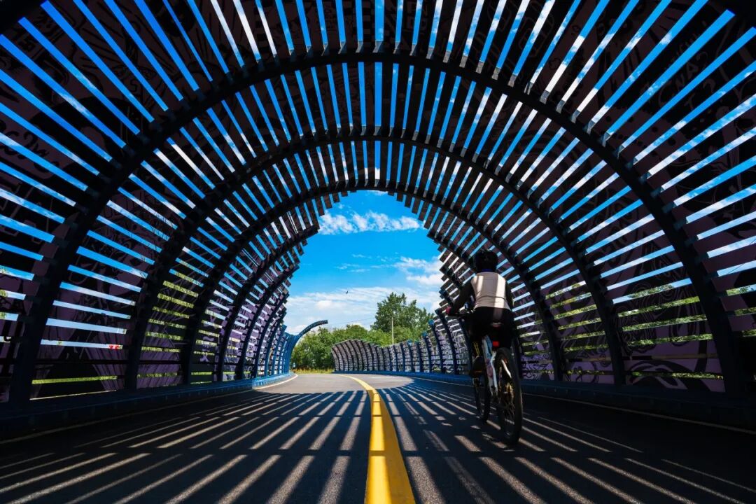 生命力爆棚！成都，出片率100%🥰插图99