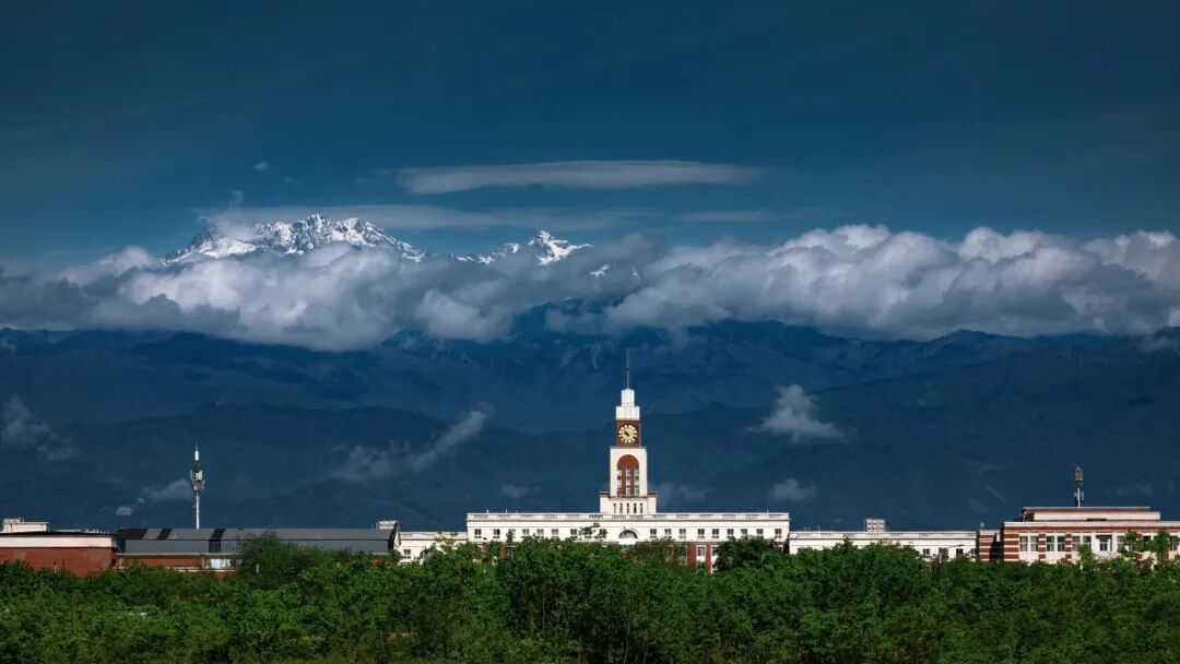 生命力爆棚！成都，出片率100%🥰插图100