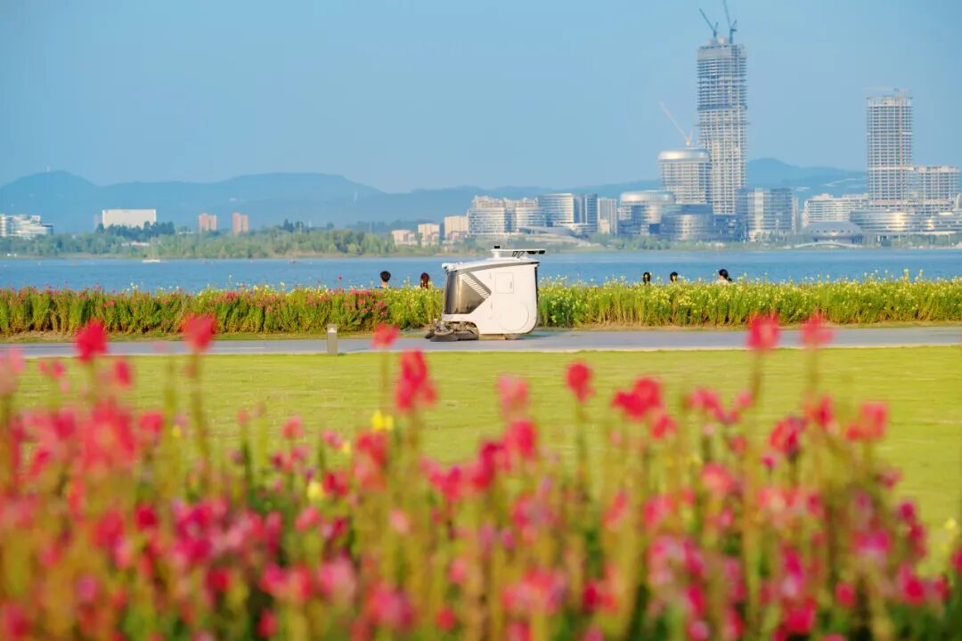 生命力爆棚！成都，出片率100%🥰插图70