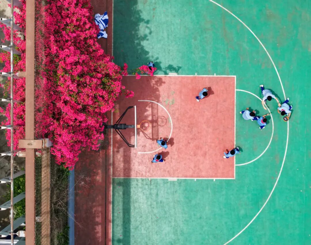 生命力爆棚！成都，出片率100%🥰插图45