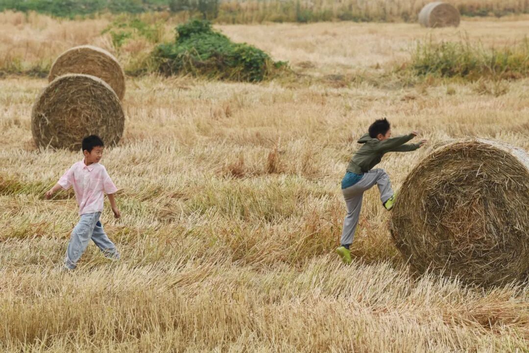 生命力爆棚！成都，出片率100%🥰插图72