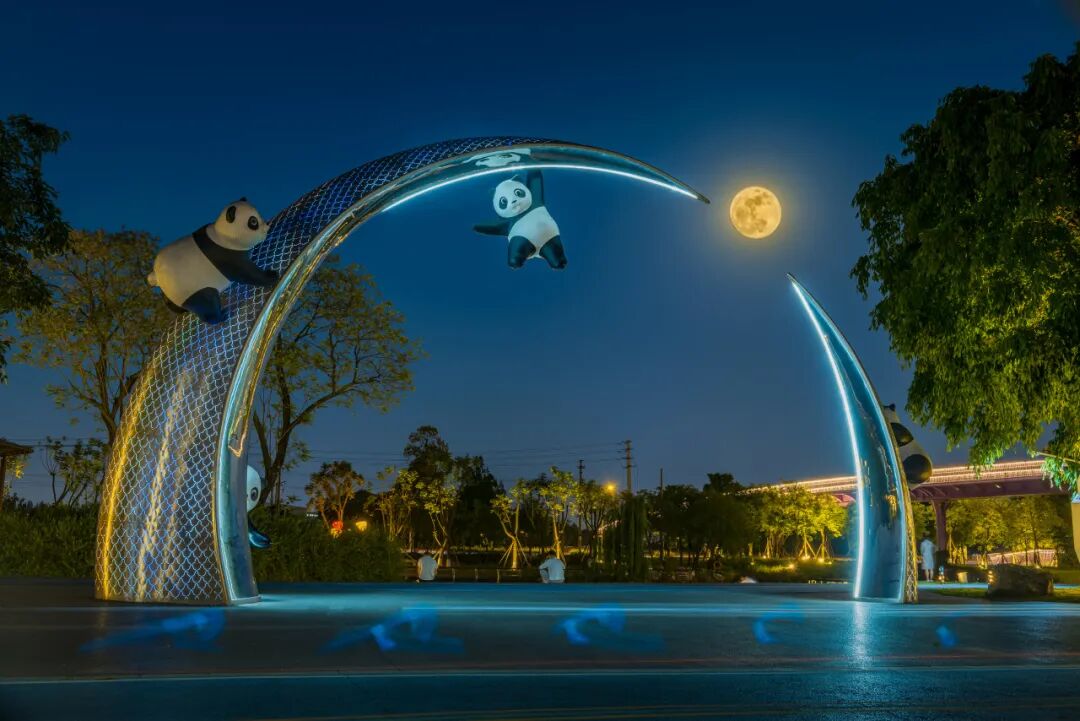 生命力爆棚！成都，出片率100%🥰插图39