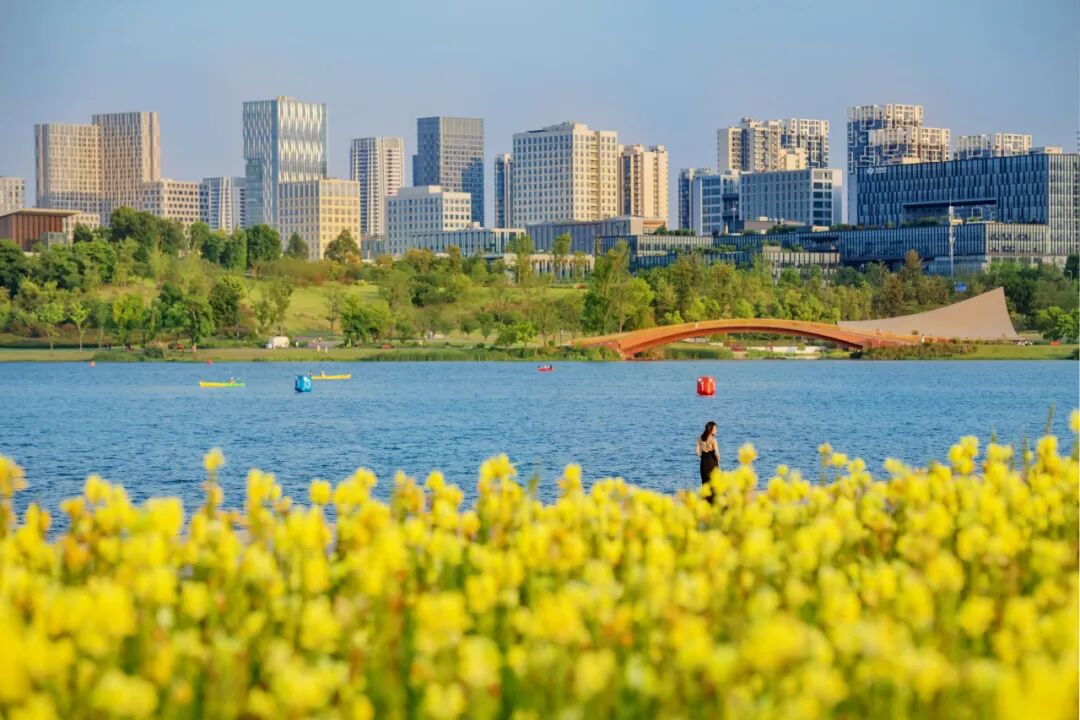 生命力爆棚！成都，出片率100%🥰插图69