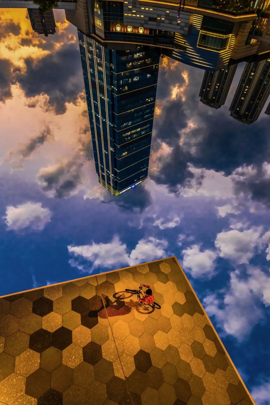 生命力爆棚！成都，出片率100%🥰插图63