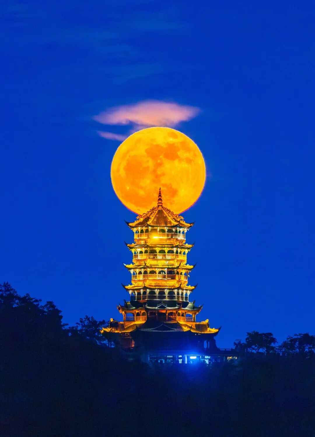 生命力爆棚！成都，出片率100%🥰插图14