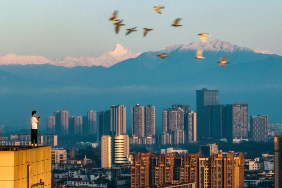 生命力爆棚！成都，出片率100%🥰插图83