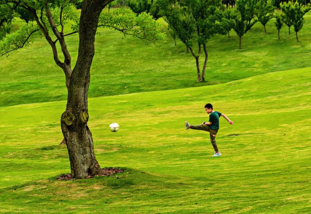 生命力爆棚！成都，出片率100%🥰插图89