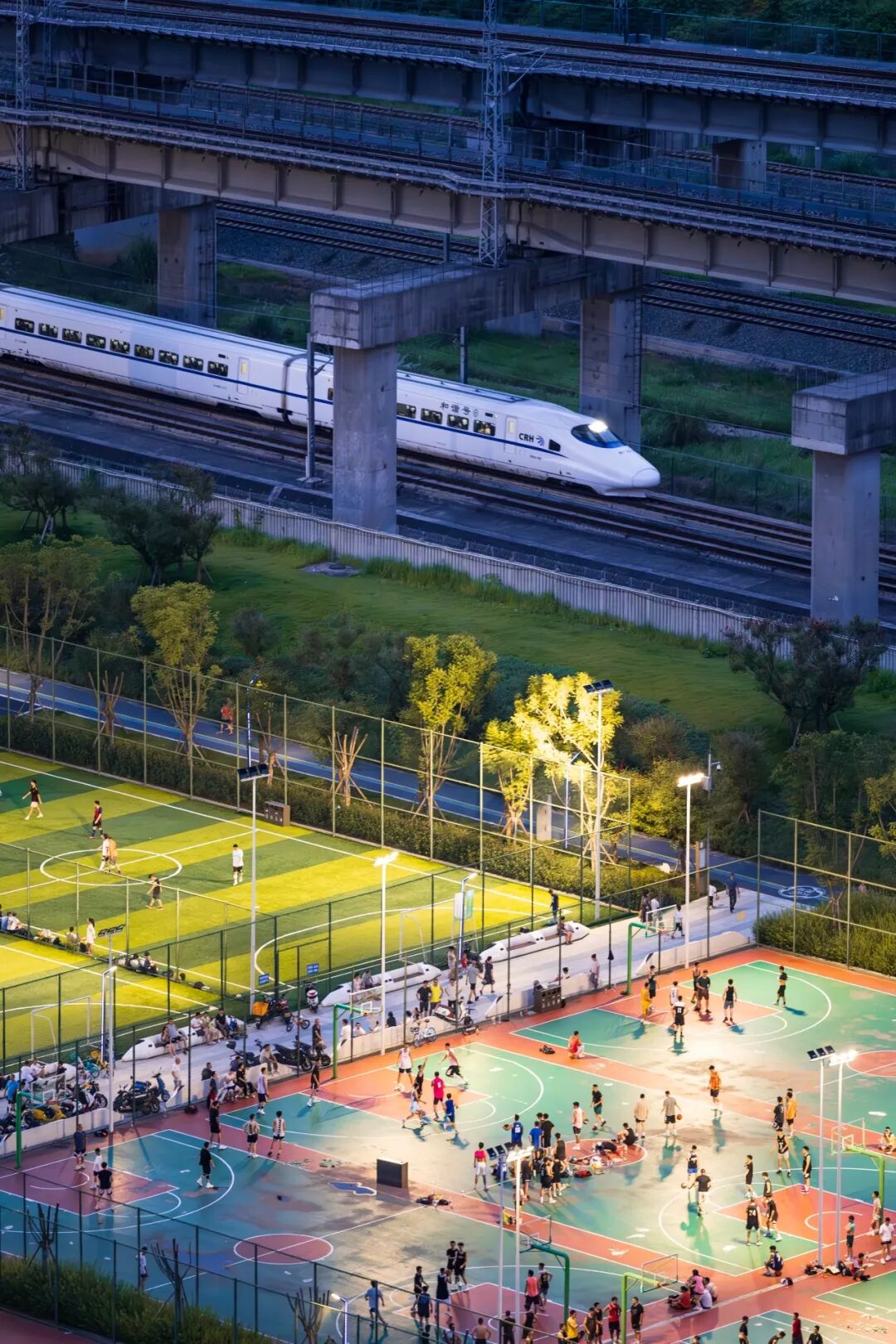 生命力爆棚！成都，出片率100%🥰插图19