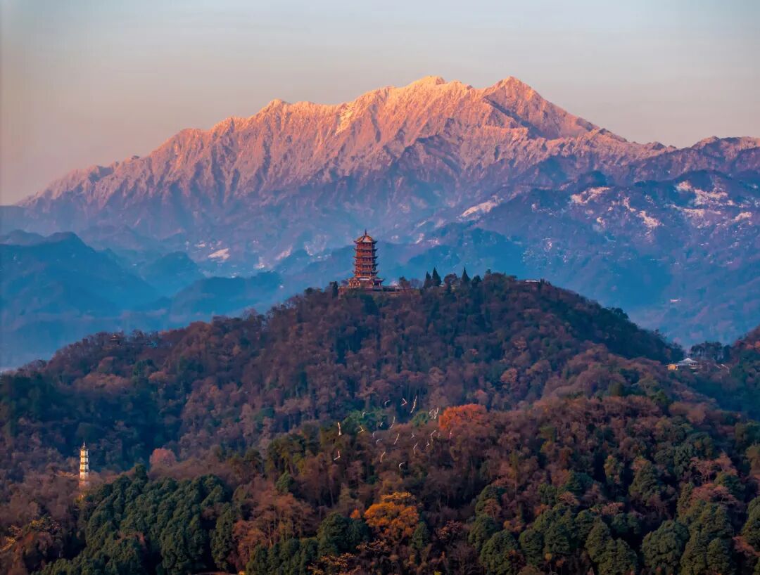 生命力爆棚！成都，出片率100%🥰插图24