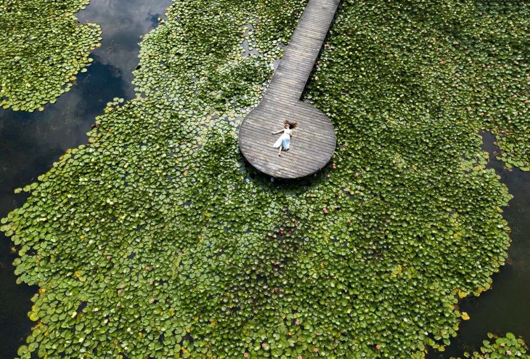 生命力爆棚！成都，出片率100%🥰插图38