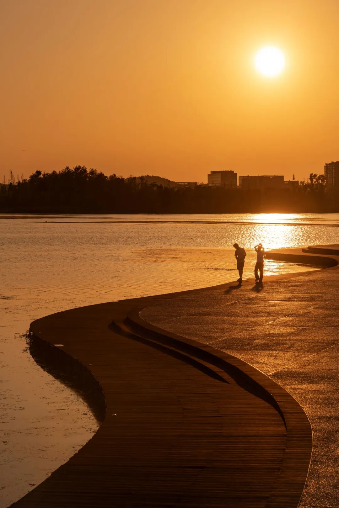 生命力爆棚！成都，出片率100%🥰插图66