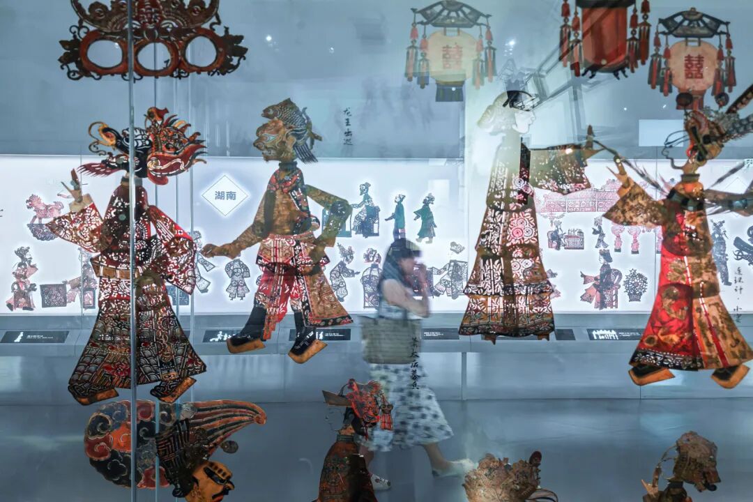 生命力爆棚！成都，出片率100%🥰插图44