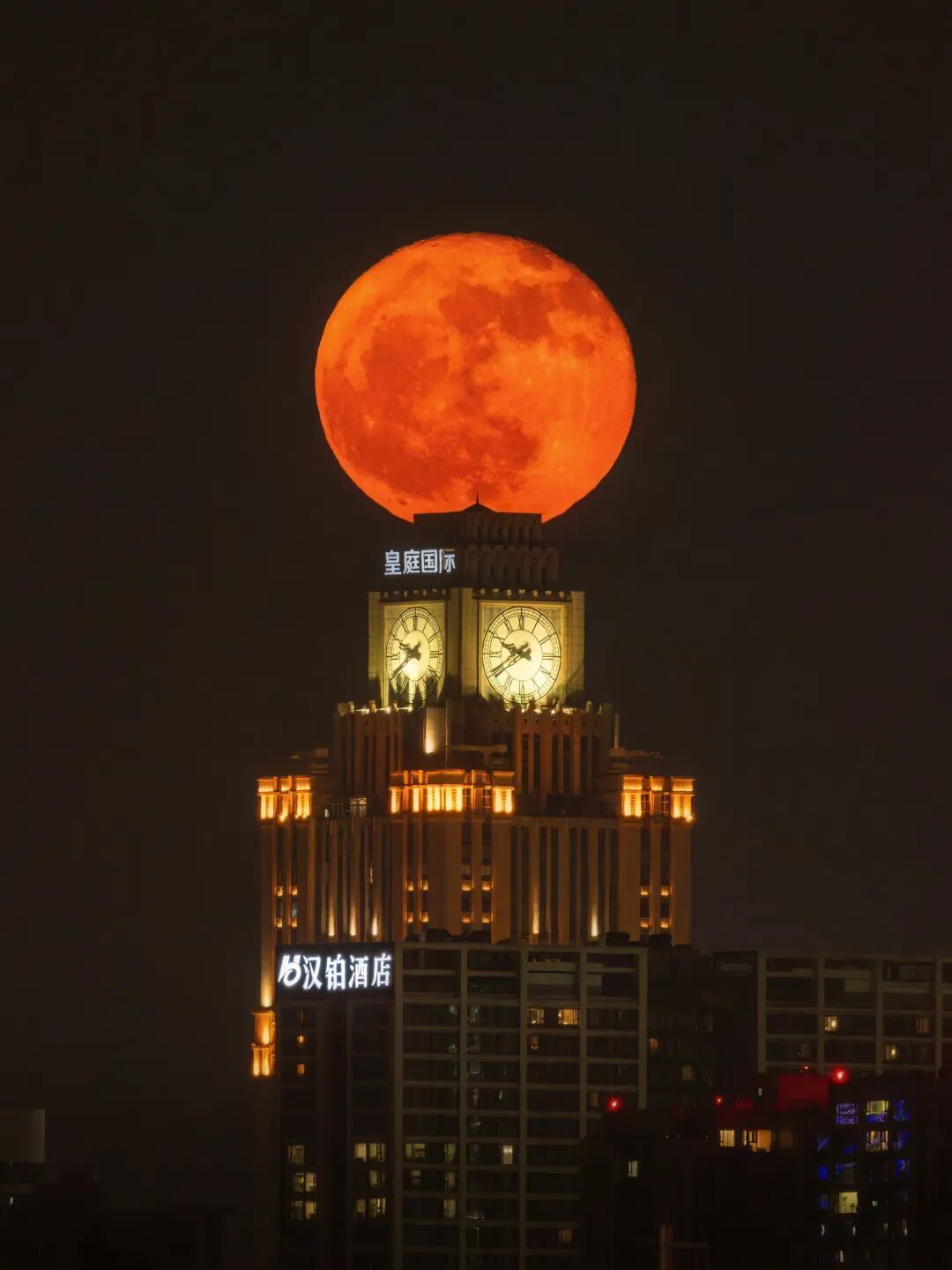 生命力爆棚！成都，出片率100%🥰插图56