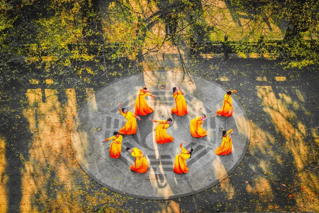 生命力爆棚！成都，出片率100%🥰插图25