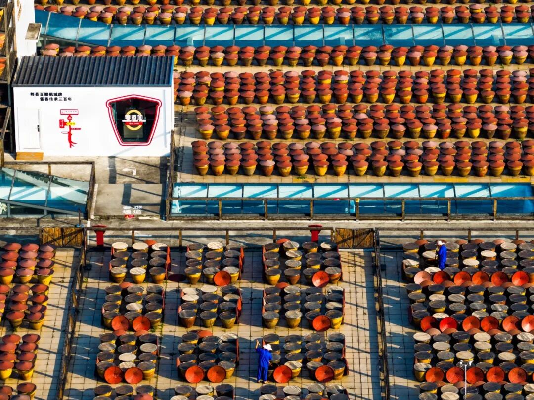 生命力爆棚！成都，出片率100%🥰插图60