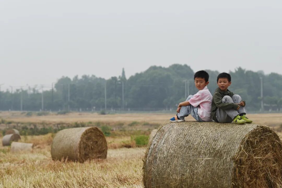 生命力爆棚！成都，出片率100%🥰插图75