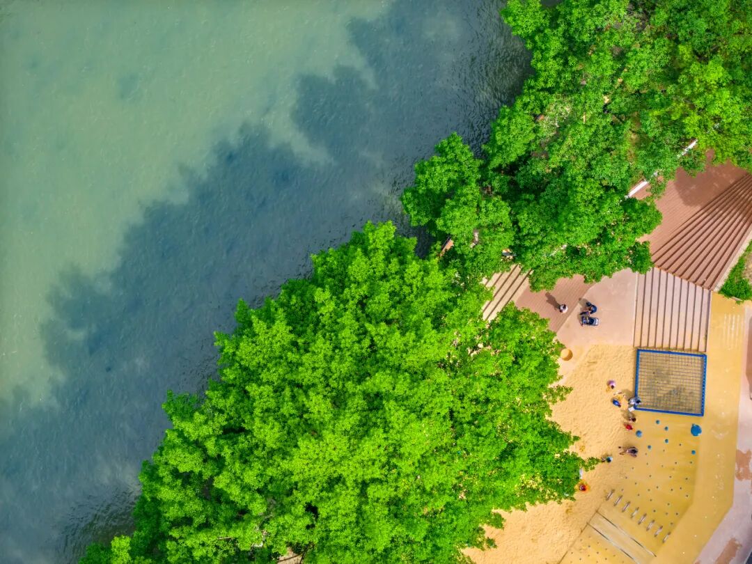 生命力爆棚！成都，出片率100%🥰插图29