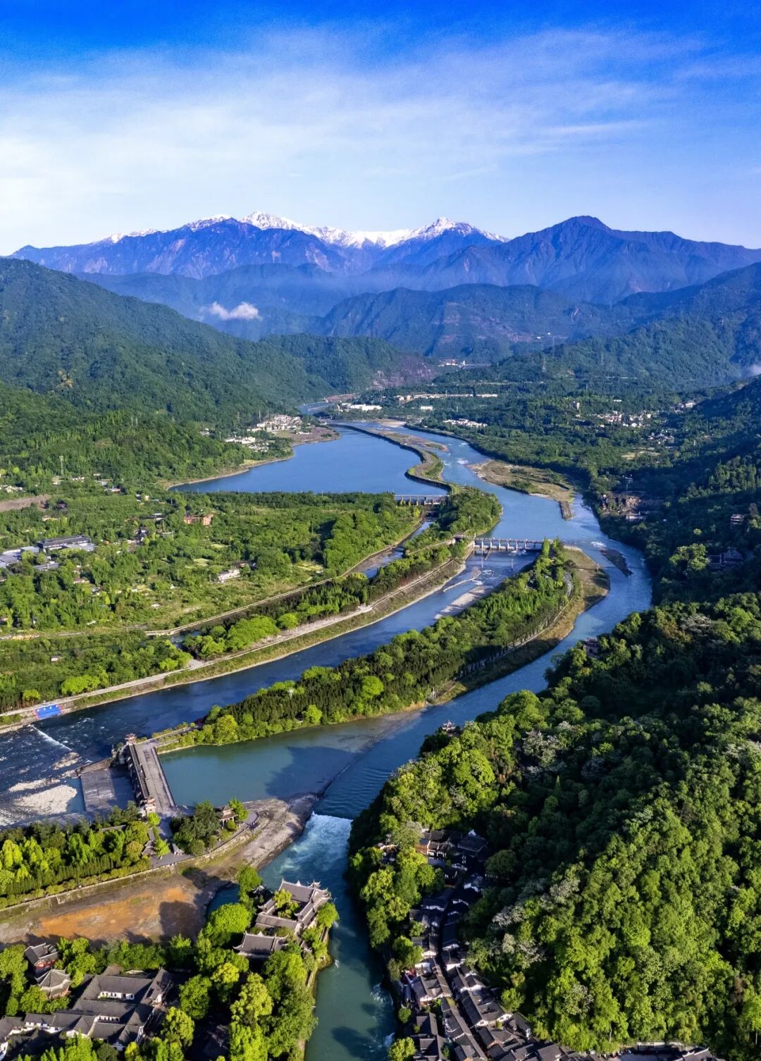 生命力爆棚！成都，出片率100%🥰插图51