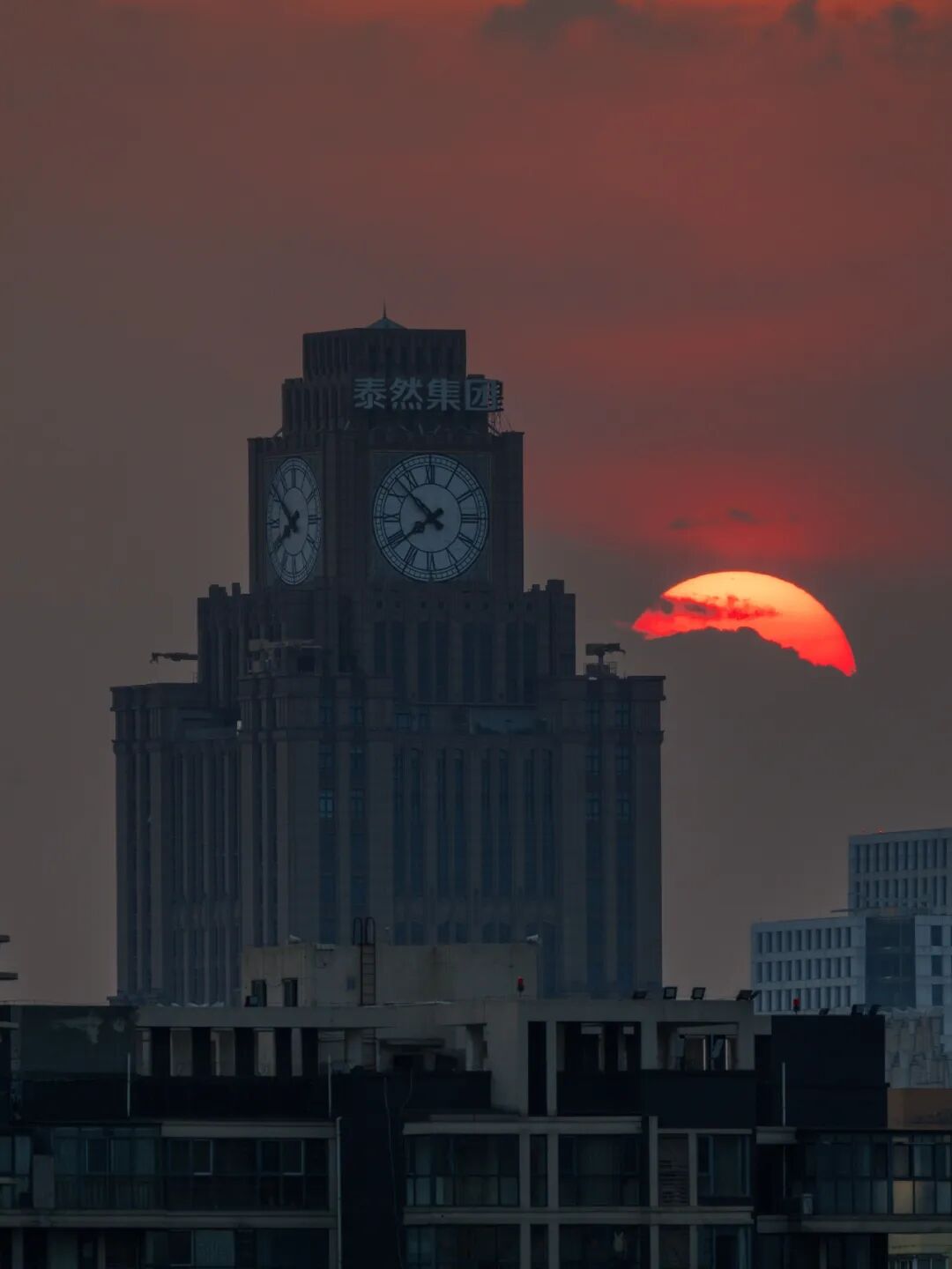 生命力爆棚！成都，出片率100%🥰插图55