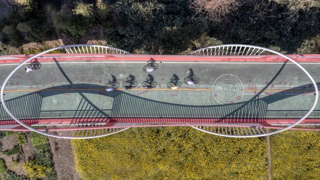 生命力爆棚！成都，出片率100%🥰插图103