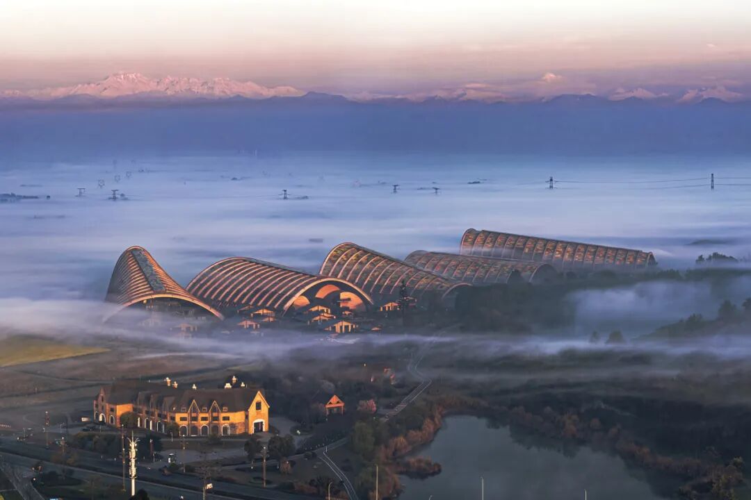 生命力爆棚！成都，出片率100%🥰插图34