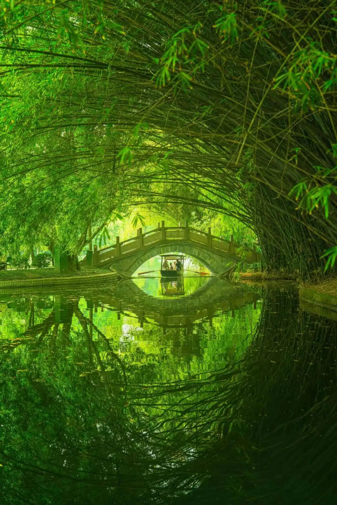 生命力爆棚！成都，出片率100%🥰插图30