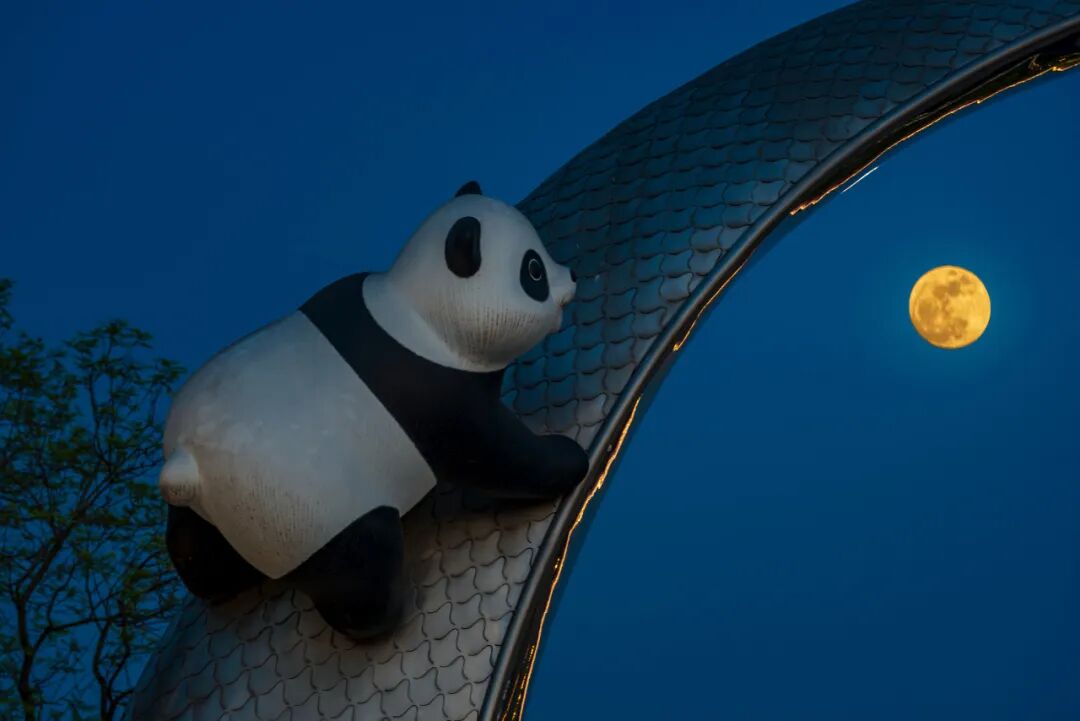 生命力爆棚！成都，出片率100%🥰插图41