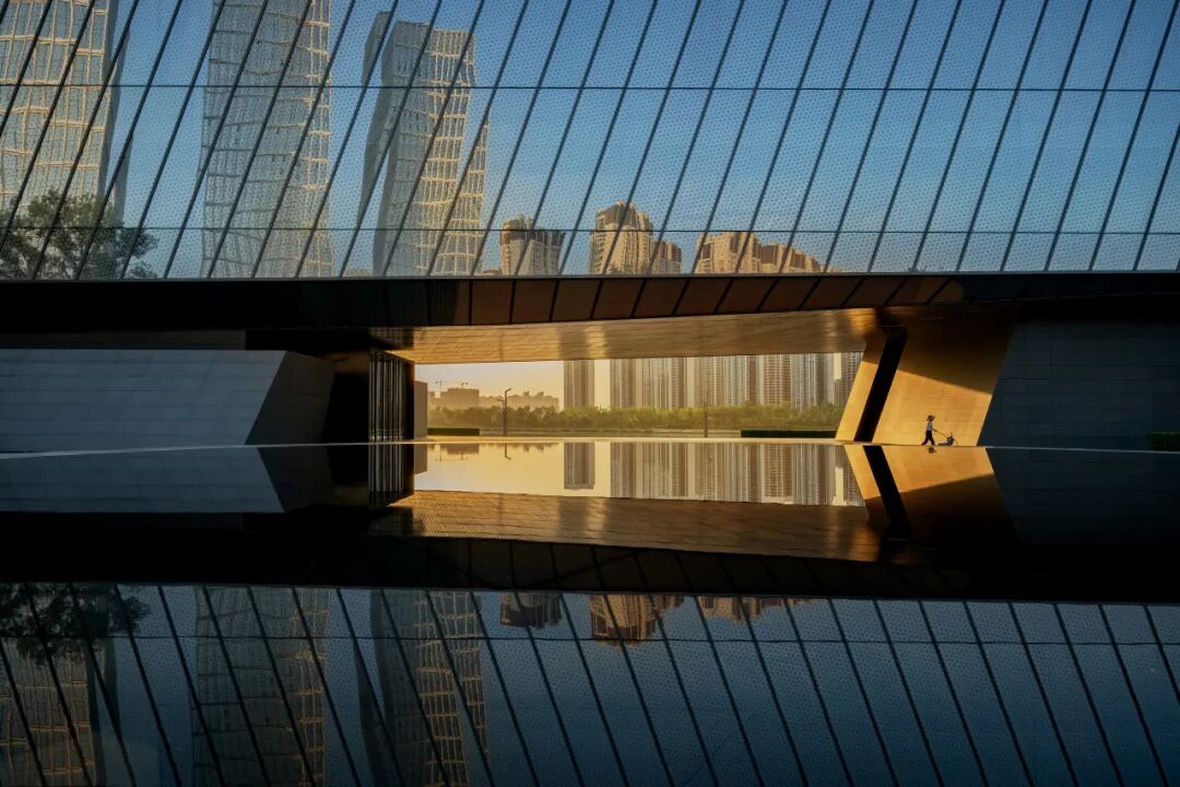 生命力爆棚！成都，出片率100%🥰插图21