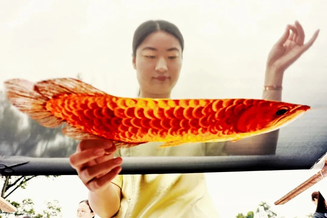 生命力爆棚！成都，出片率100%🥰插图26