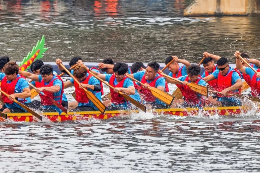 生命力爆棚！成都，出片率100%🥰插图94