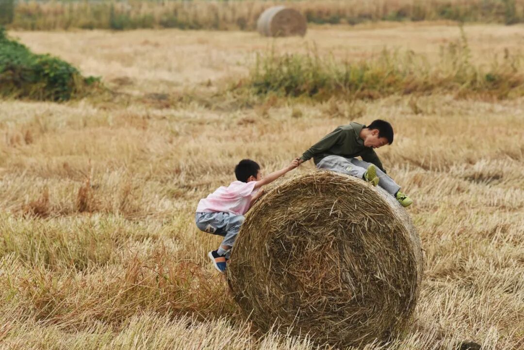 生命力爆棚！成都，出片率100%🥰插图71