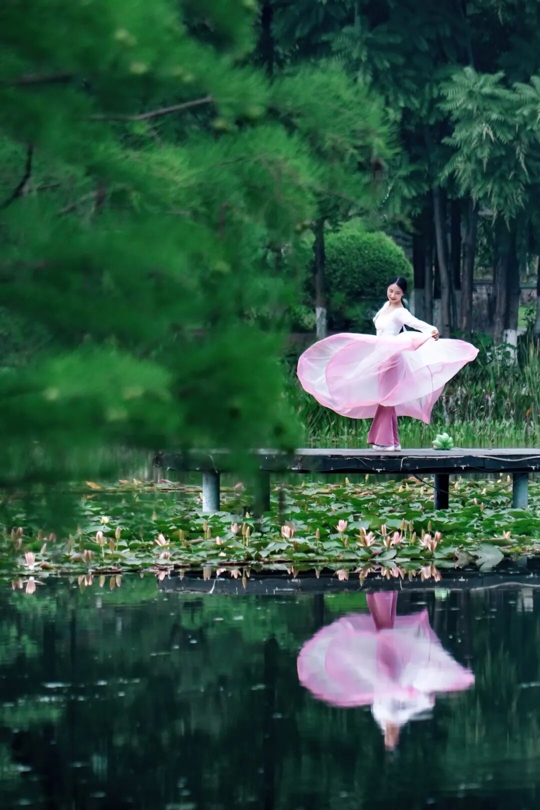 生命力爆棚！成都，出片率100%🥰插图107