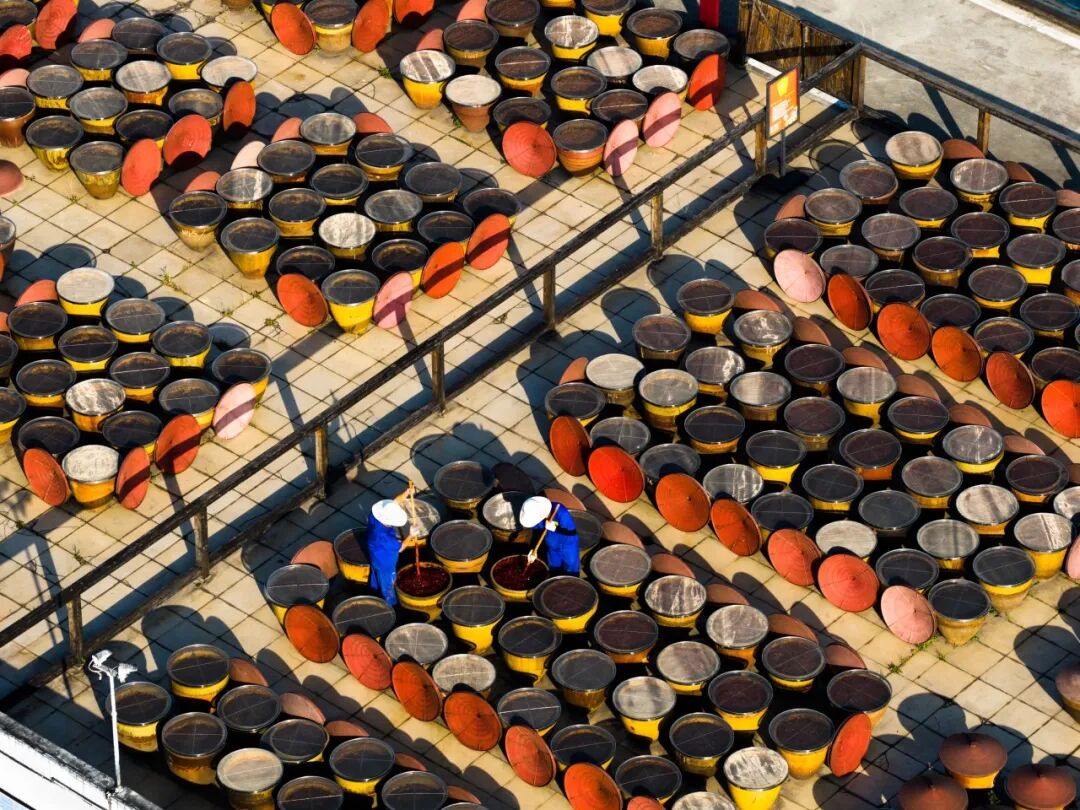 生命力爆棚！成都，出片率100%🥰插图62