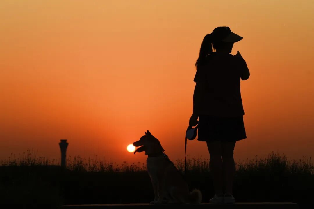 生命力爆棚！成都，出片率100%🥰插图65