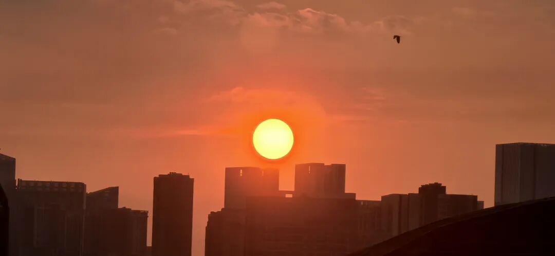 今日出伏！成都接下来天气→插图