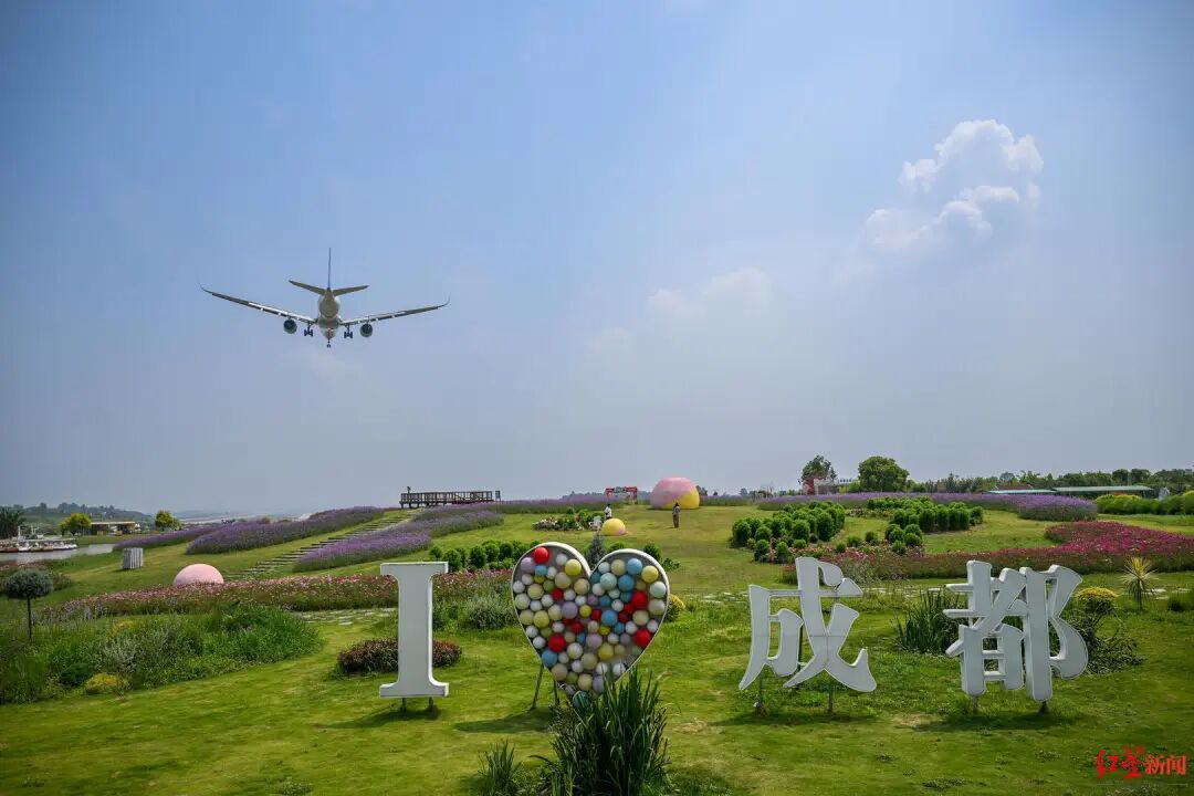 跨山越海，为成都而来插图1