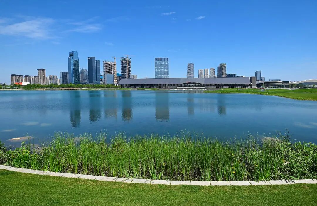 曹立军督导推进成都世运会筹备工作插图4