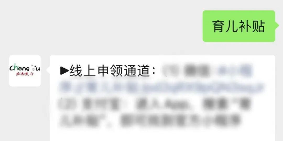 开始申领！育儿补贴通道→插图2