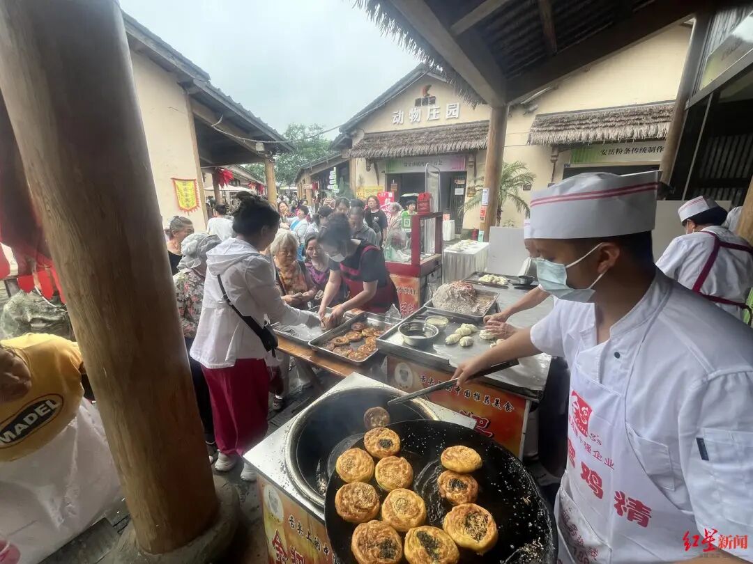 733.2万人次！赛龙舟、耍非遗……成都端午火火火插图15